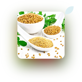 fenugreek